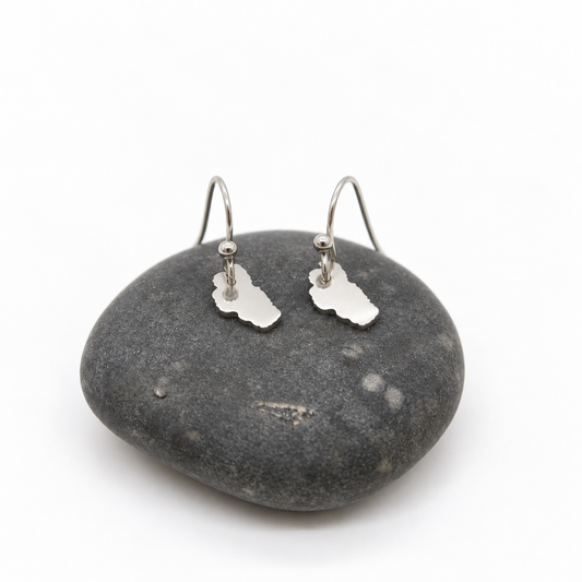 Lake Tahoe Stainless Silver Small Charm Earrings - E9-200 SSLT