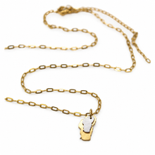 Load image into Gallery viewer, Lake Tahoe Double Mini Charm Necklace - NT-002B
