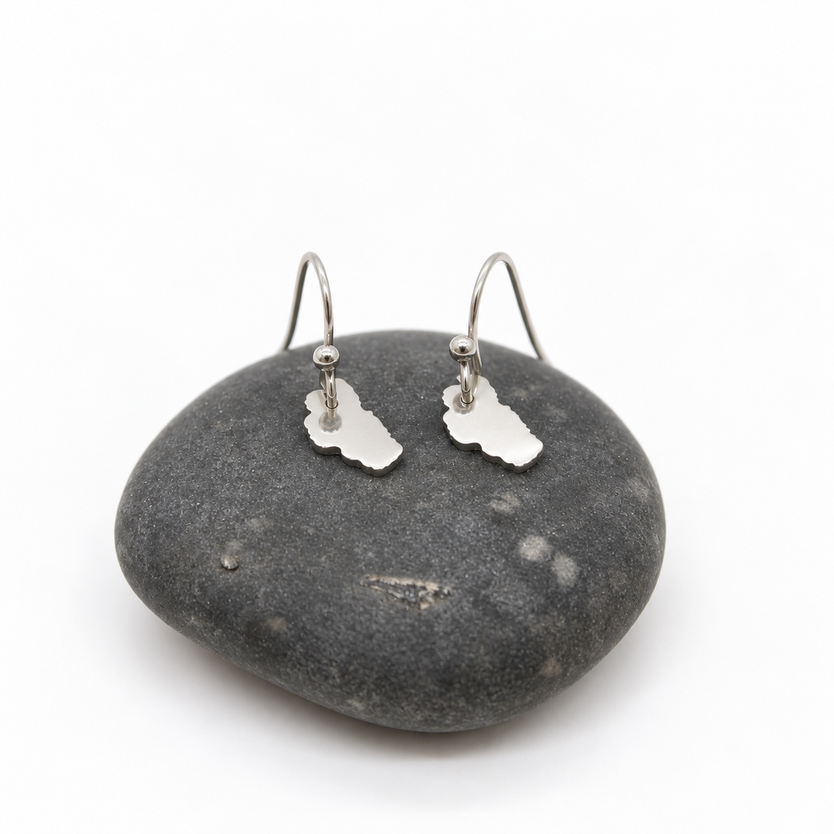Lake Tahoe Stainless Silver Small Charm Earrings - E9-200 SSLT