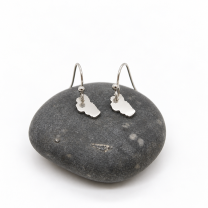 Lake Tahoe Stainless Silver Small Charm Earrings - E9-200 SSLT
