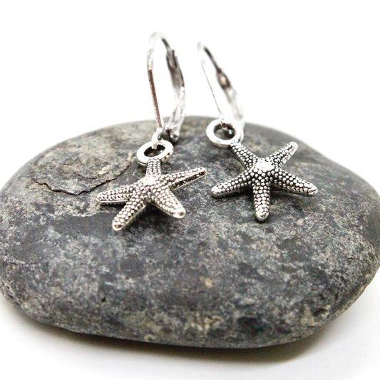 Starfish Small Earrings - E9-025