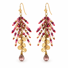 Load image into Gallery viewer, Semi Precious Stone and Mother of Pearl Dangle Earrings - E4-322
