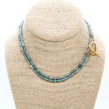 Load image into Gallery viewer, Luxury Faceted Long Apatite Necklace or Bracelet - N9-305
