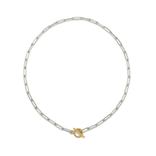 Two Tone Short Chain Necklace - N2-2702