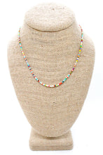 Load image into Gallery viewer, Rainbow Seed Bead Mini Necklace - Seeds Collection- N8-005
