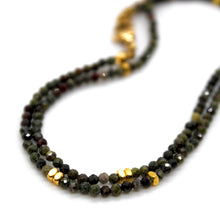 Load image into Gallery viewer, Dragon's Blood Jasper Stone and Gold Luxury Short Necklace - NC-619
