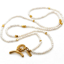 Load image into Gallery viewer, Long Freshwater Pearl and Gold Luxury Necklace - NC-610L
