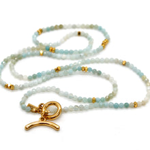 Load image into Gallery viewer, Long Gradient Amazonite Stone and Gold Luxury Necklace - NC-636L
