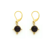 Load image into Gallery viewer, Semi Precious Stone Drop Earrings - E4-349
