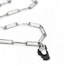 Load image into Gallery viewer, Lake Tahoe Double Mini Charm Necklace - NT-003A
