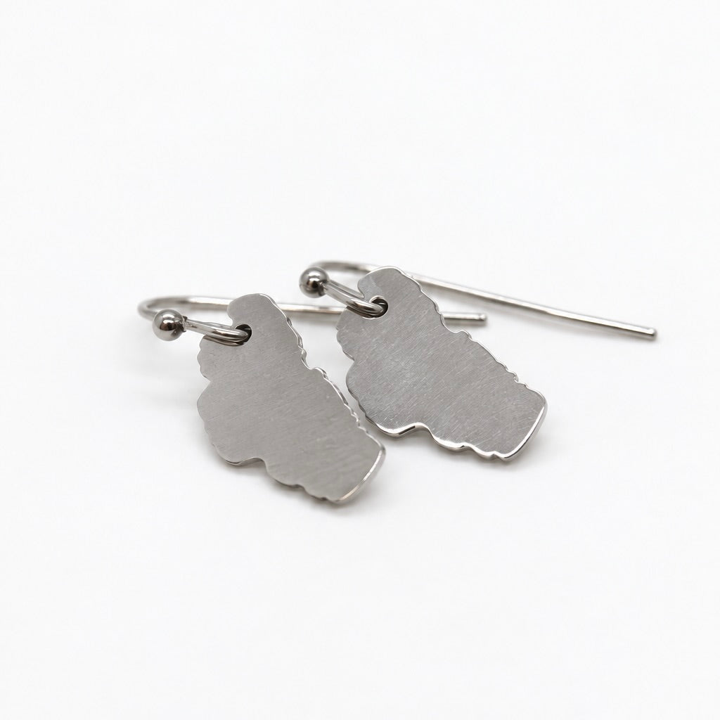 Lake Tahoe Stainless Silver Large Charm Earrings - E9-200 SLLT