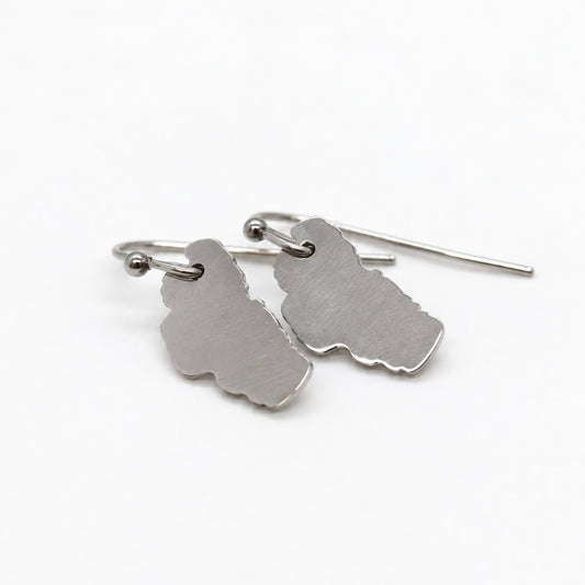 Lake Tahoe Stainless Silver Large Charm Earrings - E9-200 SLLT