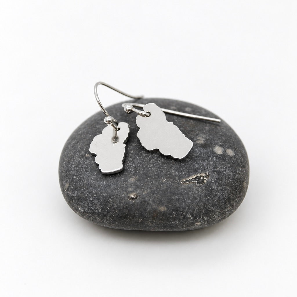 Lake Tahoe Stainless Silver Large Charm Earrings - E9-200 SLLT