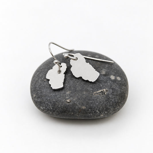 Lake Tahoe Stainless Silver Large Charm Earrings - E9-200 SLLT
