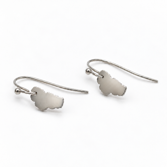 Lake Tahoe Stainless Silver Small Charm Earrings - E9-200 SSLT