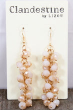 Load image into Gallery viewer, Dangle Beaded Earrings - E008-P

