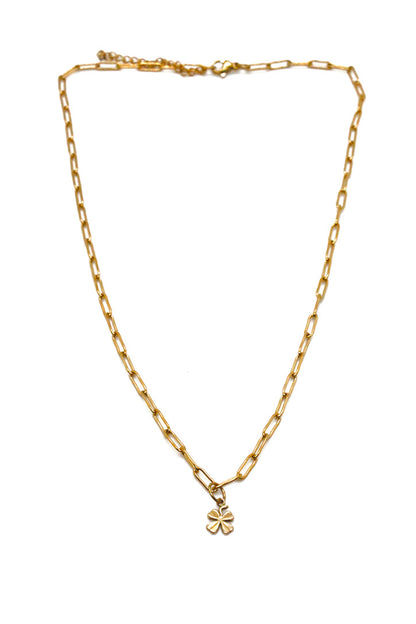 Tiny Lucky Shamrock Charm on Delicate Chain Necklace -French Medals Collection- N6-019